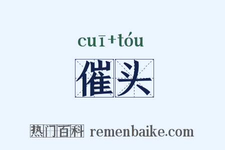 催头是什么意思的图片